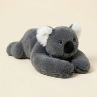 Milo the Koala